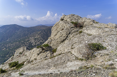 Similar image 21156891