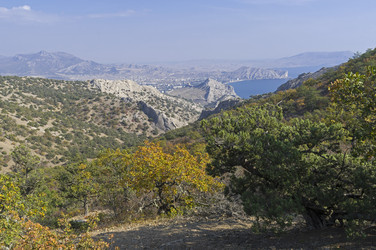 Similar image 21156892