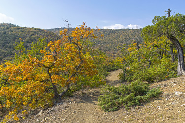 Similar image 21156894