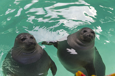 Similar image 21156899