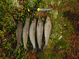 Similar image 21156910