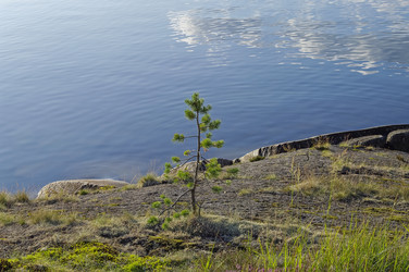 Similar image 21156911