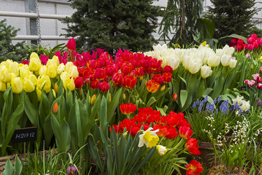 Similar image 21156912