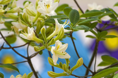 Similar image 21156920