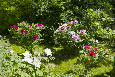 Similar image 21156922