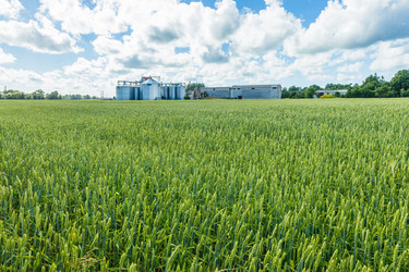 Similar image 21171328