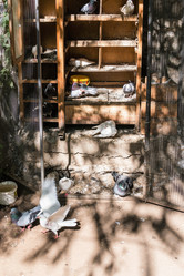 Similar image 21168397