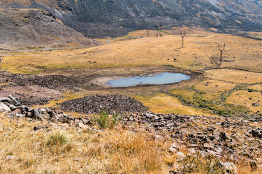 Similar image 21155534