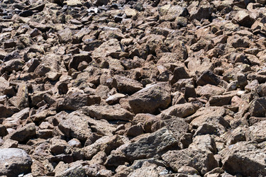 Similar image 21155537