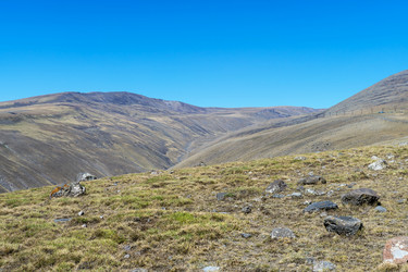 Similar image 21155540