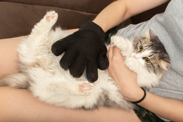 Similar image 21179107