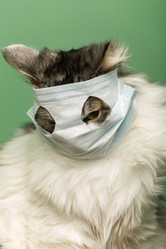 Similar image 21179120