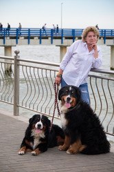 Similar image 21179123