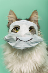 Similar image 21179128