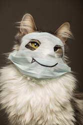 Similar image 21179130