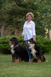 Similar image 21179136