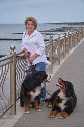 Similar image 21179141