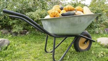 Similar image 21156938