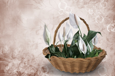 Similar image 21155568