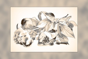 Similar image 21155569