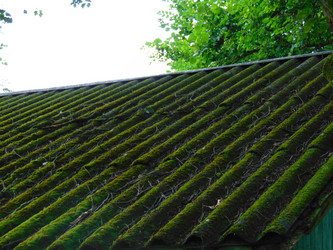 Similar image 21156957