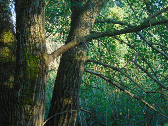 Similar image 21156958