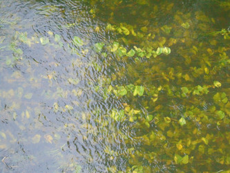 Similar image 21156959