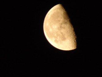 Similar image 21156960