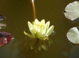 Similar image 21156961