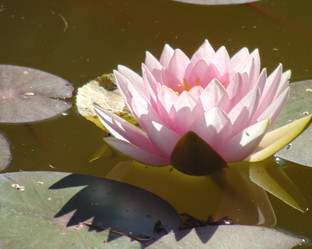 Similar image 21156963