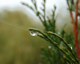 Similar image 21156965