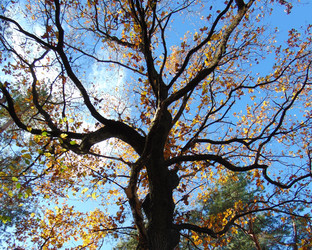 Similar image 21156974