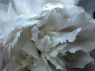 Similar image 21157589