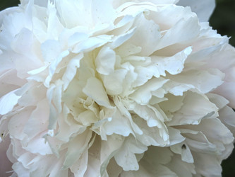 Similar image 21157590