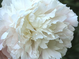 Similar image 21157592