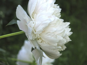 Similar image 21157596