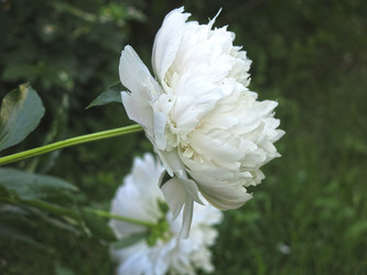 Similar image 21157597