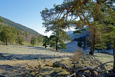 Similar image 21157679