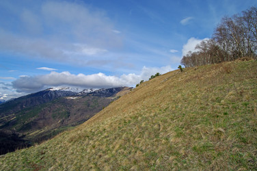 Similar image 21157686