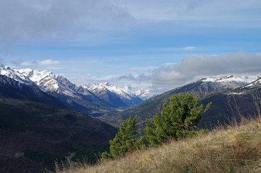 Similar image 21157687