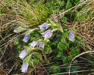 Similar image 21157688