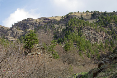 Similar image 21157689