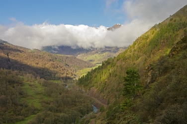 Similar image 21157694