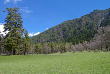 Similar image 21157697