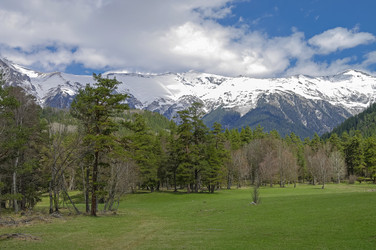 Similar image 21157698