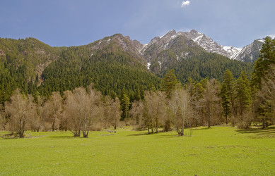 Similar image 21157704