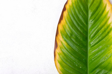 Similar image 21157598