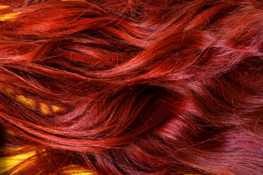 Similar image 21156976