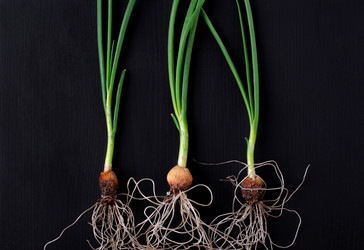 Similar image 21179500