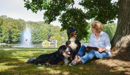 Similar image 21184256